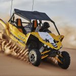 DISCOVER THE HIDDEN BEAUTY OF DESERT buggy